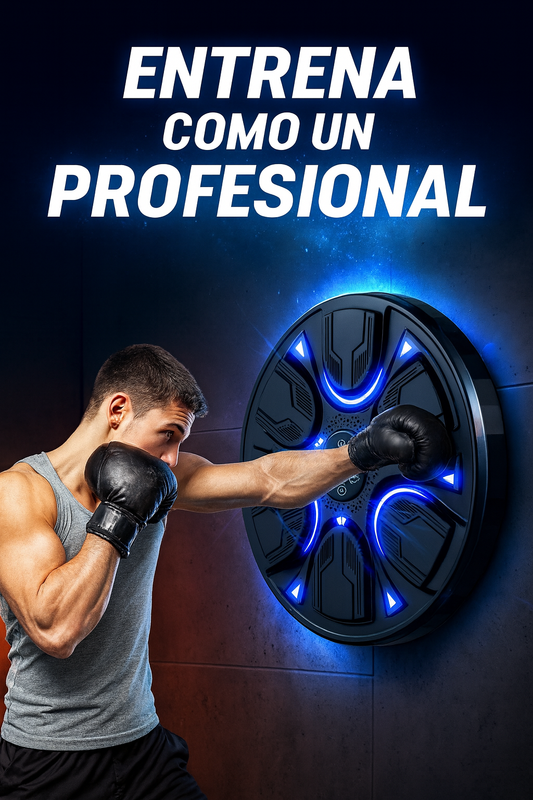 Gimnasio de Boxeo Profesional de Pared